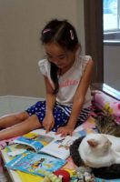 Reader and kitties napping