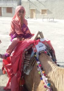 Camel Caravan (2)