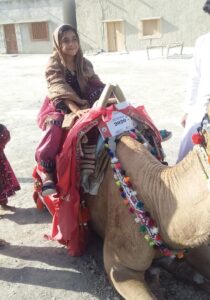 Camel Caravan (8)
