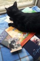 120 18 Kitty waiting for someone to read to her _ Jasmine