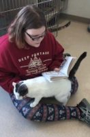 Paloma lap sitter for reading